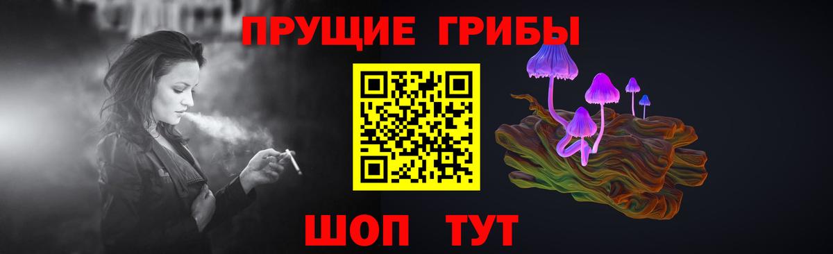 Галлюциногенные грибы Psilocybe  Вход с VPN  Галлюциногенные грибы Cubensis  Новокубанск 